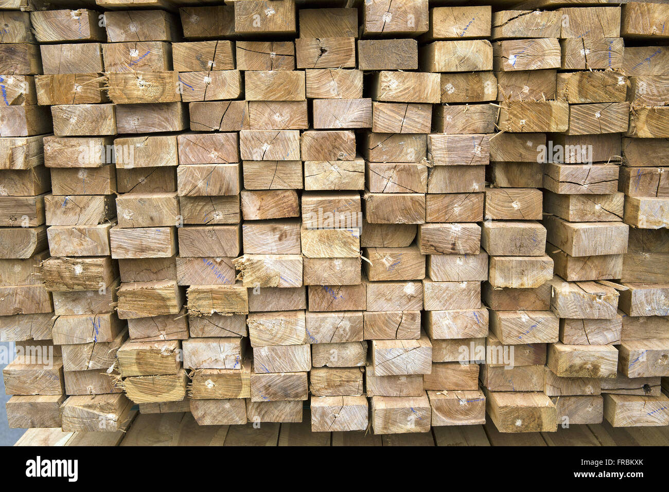 Tree planted hires stock photography and images Alamy