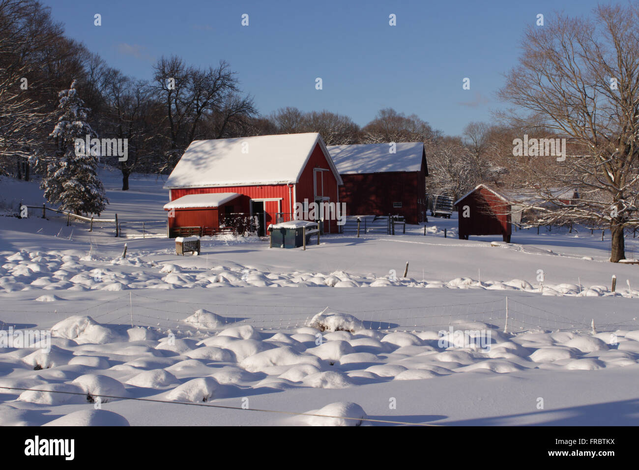 Guilford hires stock photography and images Alamy