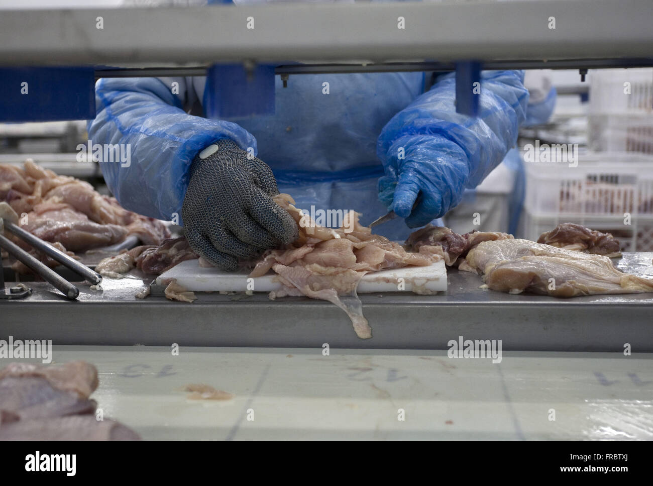 Detail of cut of meat - chicken slaughter refrigerator in cooperative Stock Photo
