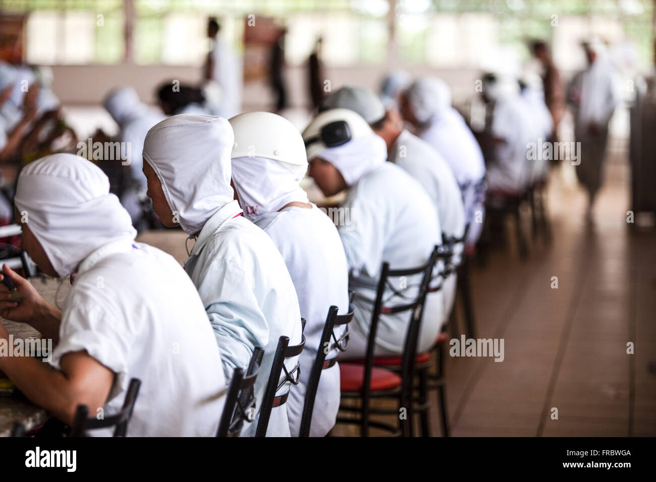 Workers in the refectory of agribusiness cooperative Stock Photo