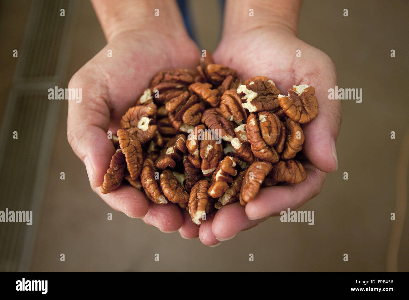 Walnuts or pecan piece selected for commercialization Stock Photo