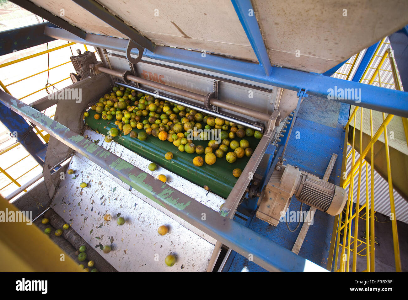Oranges factory hires stock photography and images Alamy