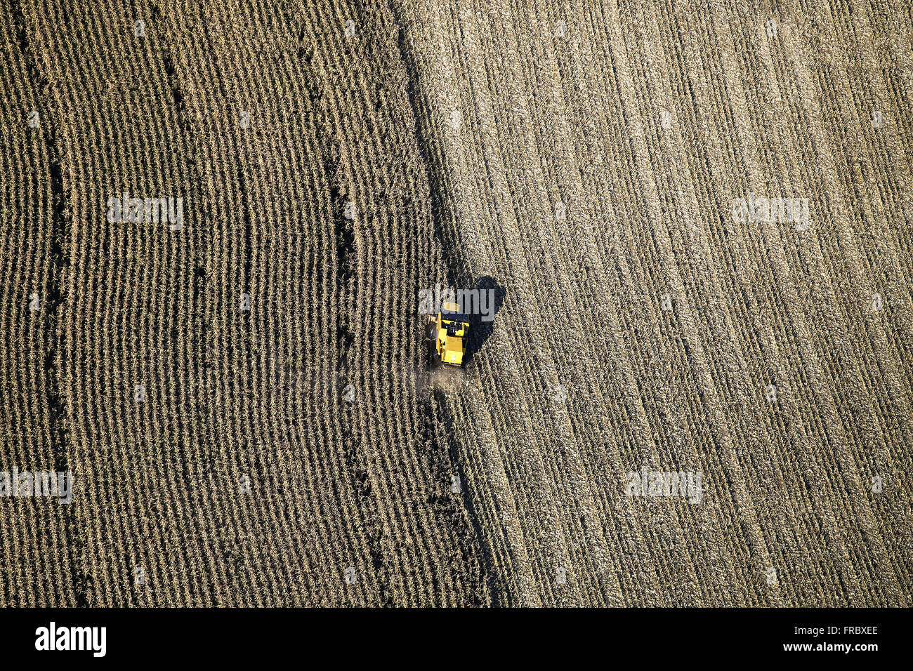 Aerial view of combine harvesting corn Stock Photo