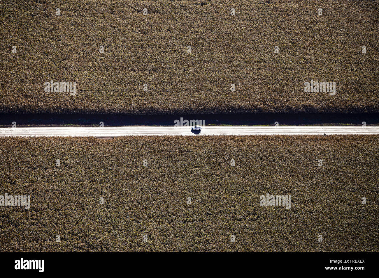 Aerial view of planting corn Stock Photo