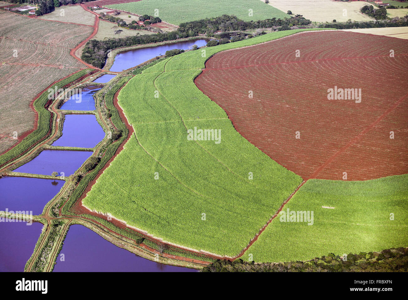 Aerial view of the creation of fishponds between plantations Stock Photo