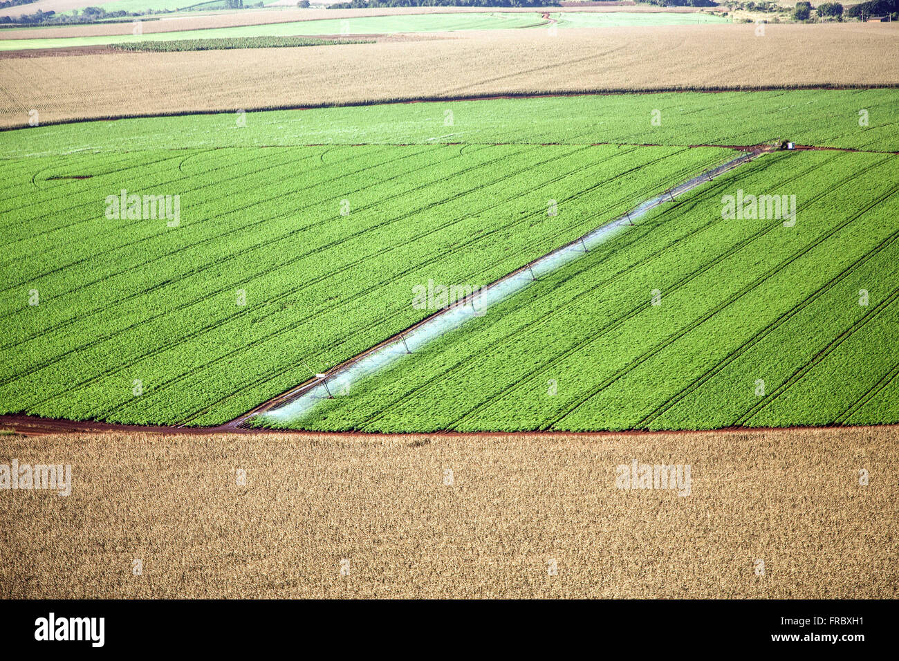 Aerial view of irrigated soybean planting in the countryside Stock Photo