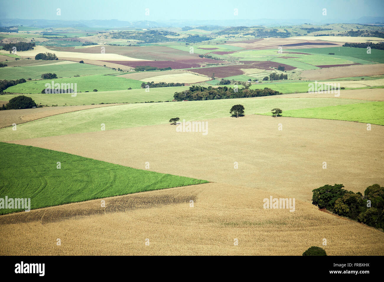 Aerial view of plantations of maize, soybean and sugar cane in the countryside Stock Photo