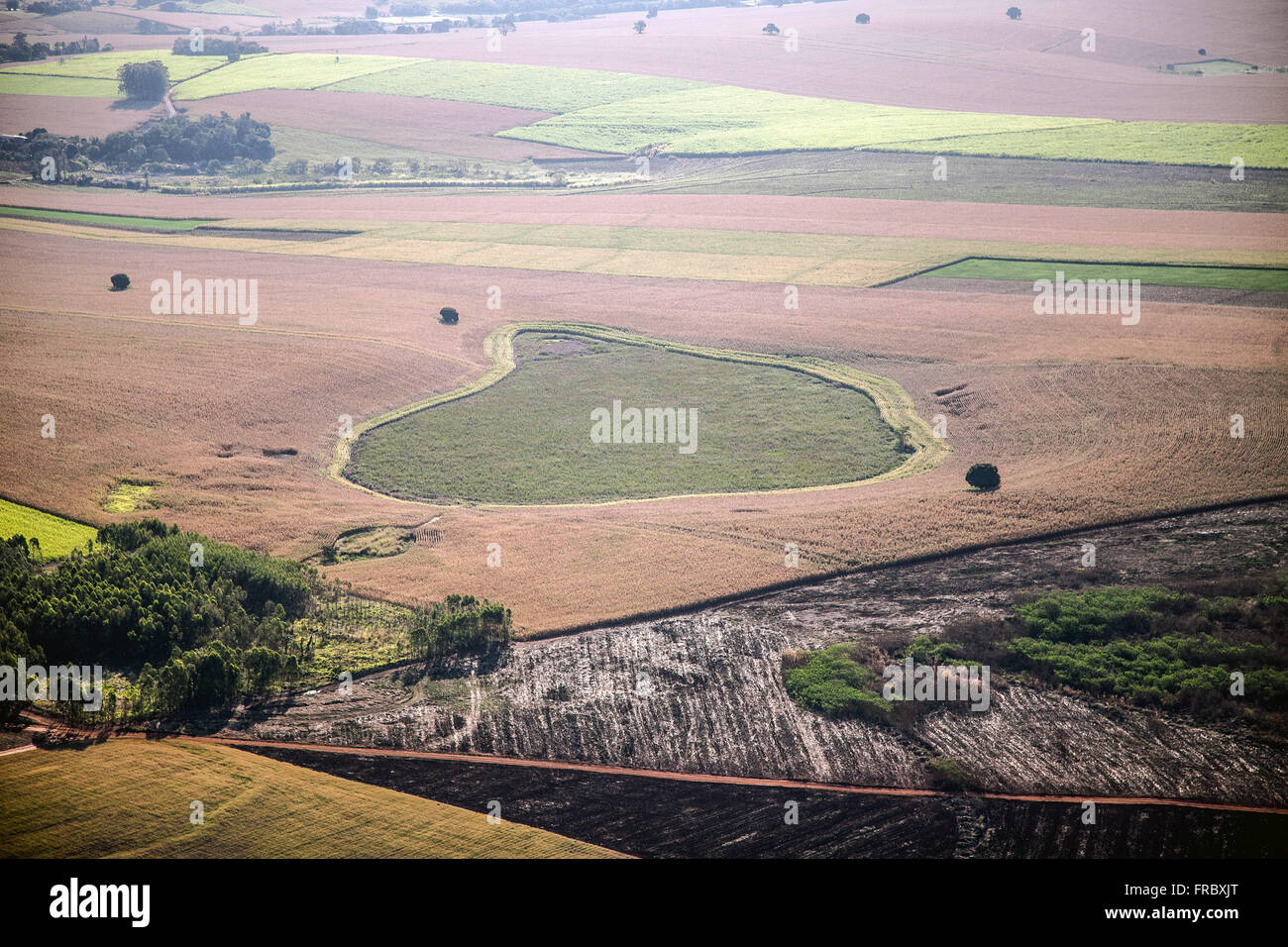 Aerial view of plantations of wheat, sugar cane, corn and banana in the countryside Stock Photo