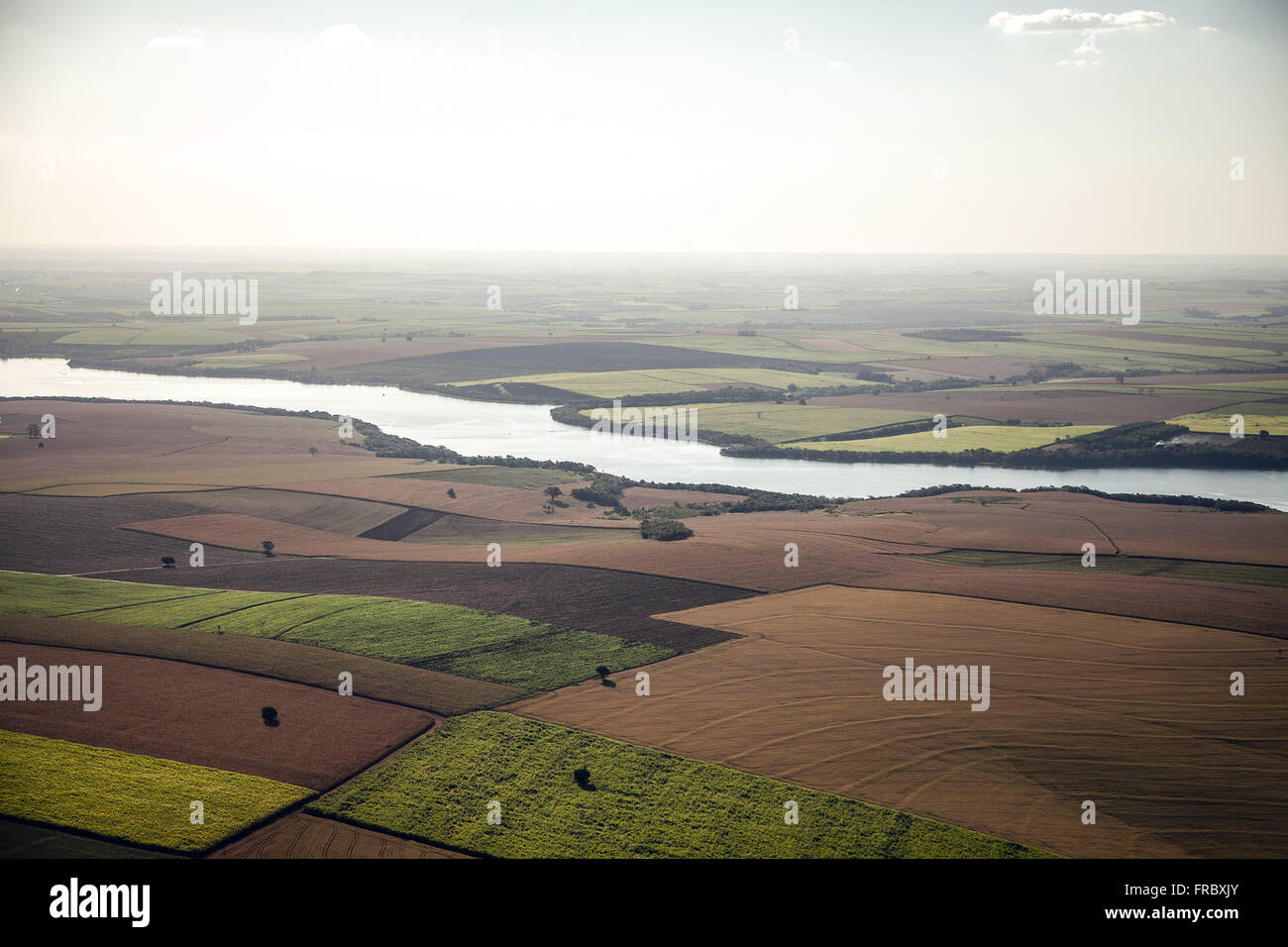 Aerial view of plantations of wheat, sugar cane and corn in the countryside Stock Photo