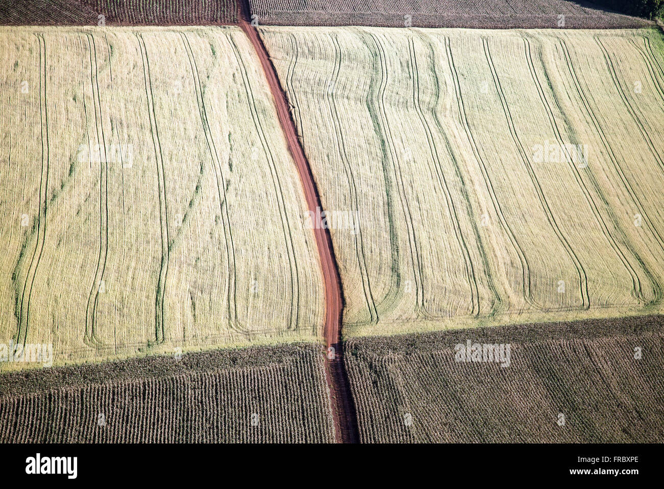 Aerial view of planting corn and wheat Stock Photo