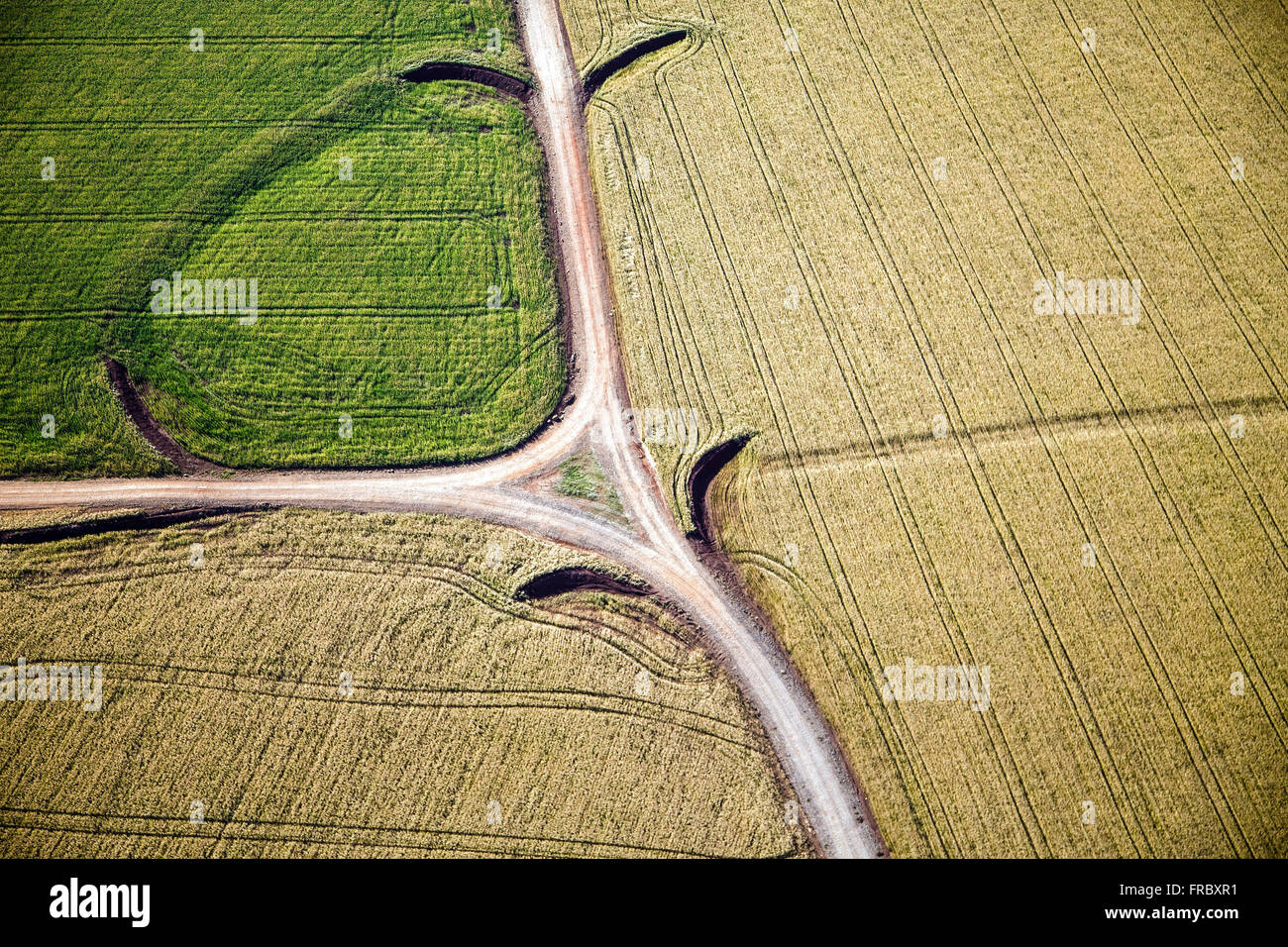 Aerial view of planting wheat Stock Photo