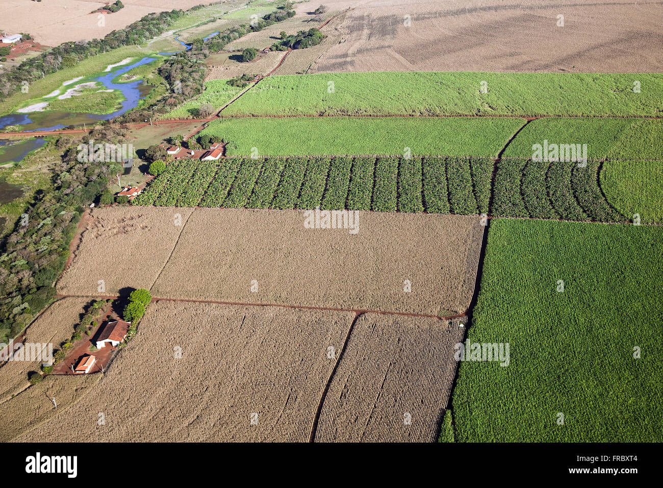 Aerial view of farm with planting corn, wheat, sugar cane and bananas Stock Photo