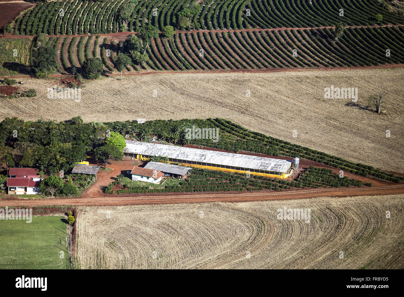 Aerial view of rural property with orange plantation and cafe Stock Photo
