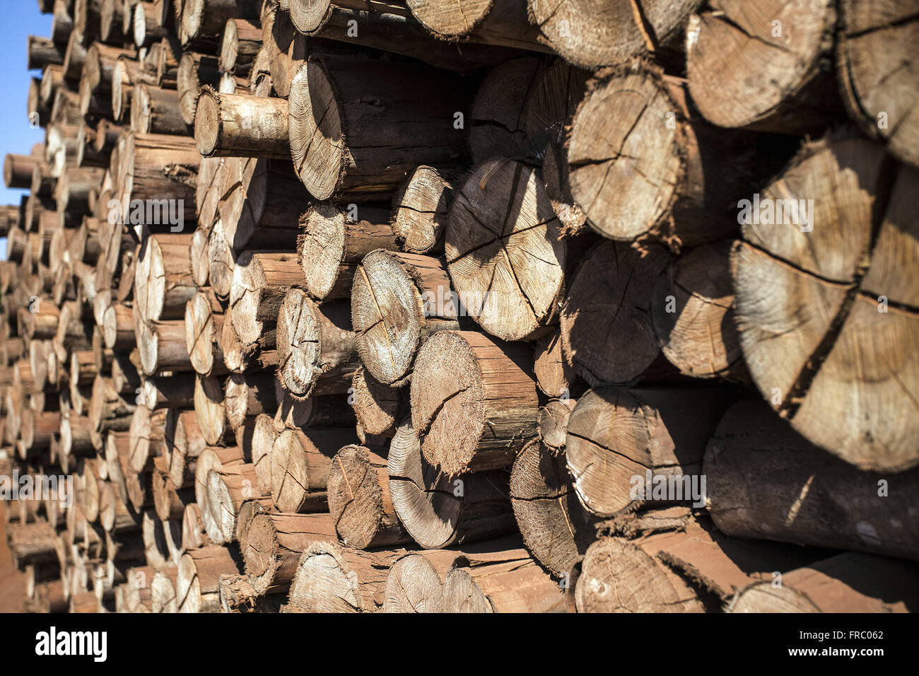 Timber Stack Silo Wood detail used in silos for grain storage food industry Stock Photo ...