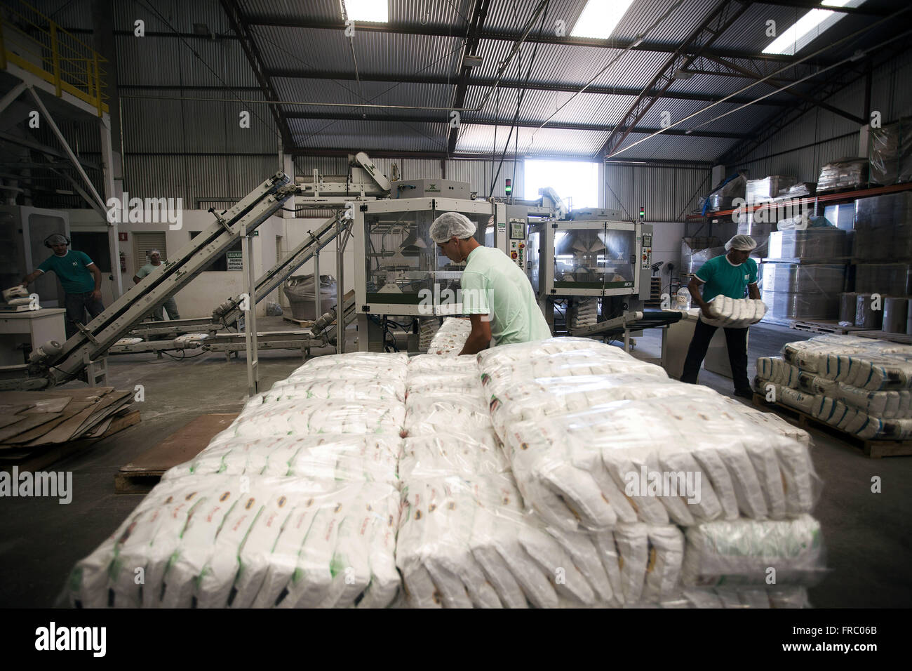 Shed Inside view of food industry - packaging industry and distribution of sugar Stock Photo