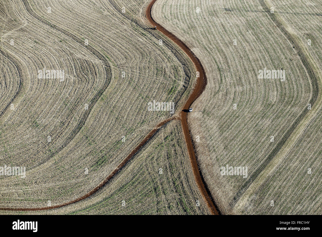 Aerial view of dirt road through the plantation of grain in the countryside Stock Photo