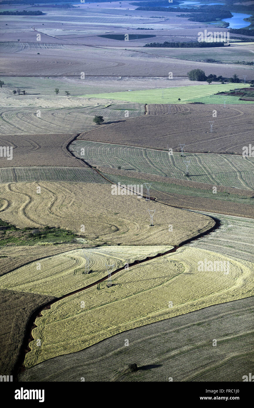 Aerial view of rural property with agricultural diversity Stock Photo