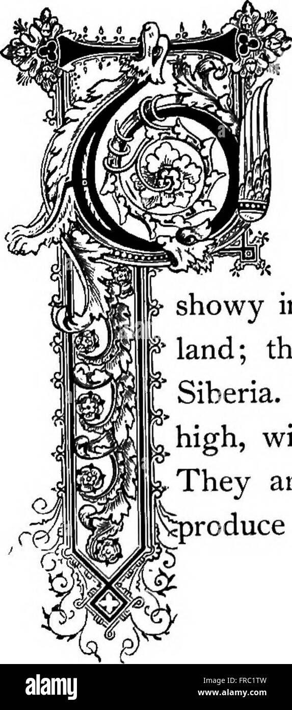 The floral kingdom its history, sentiment and poetry A dictionary