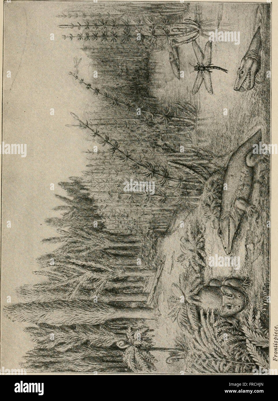 This 1920 work explores the principles of heredity and evolutionary ...