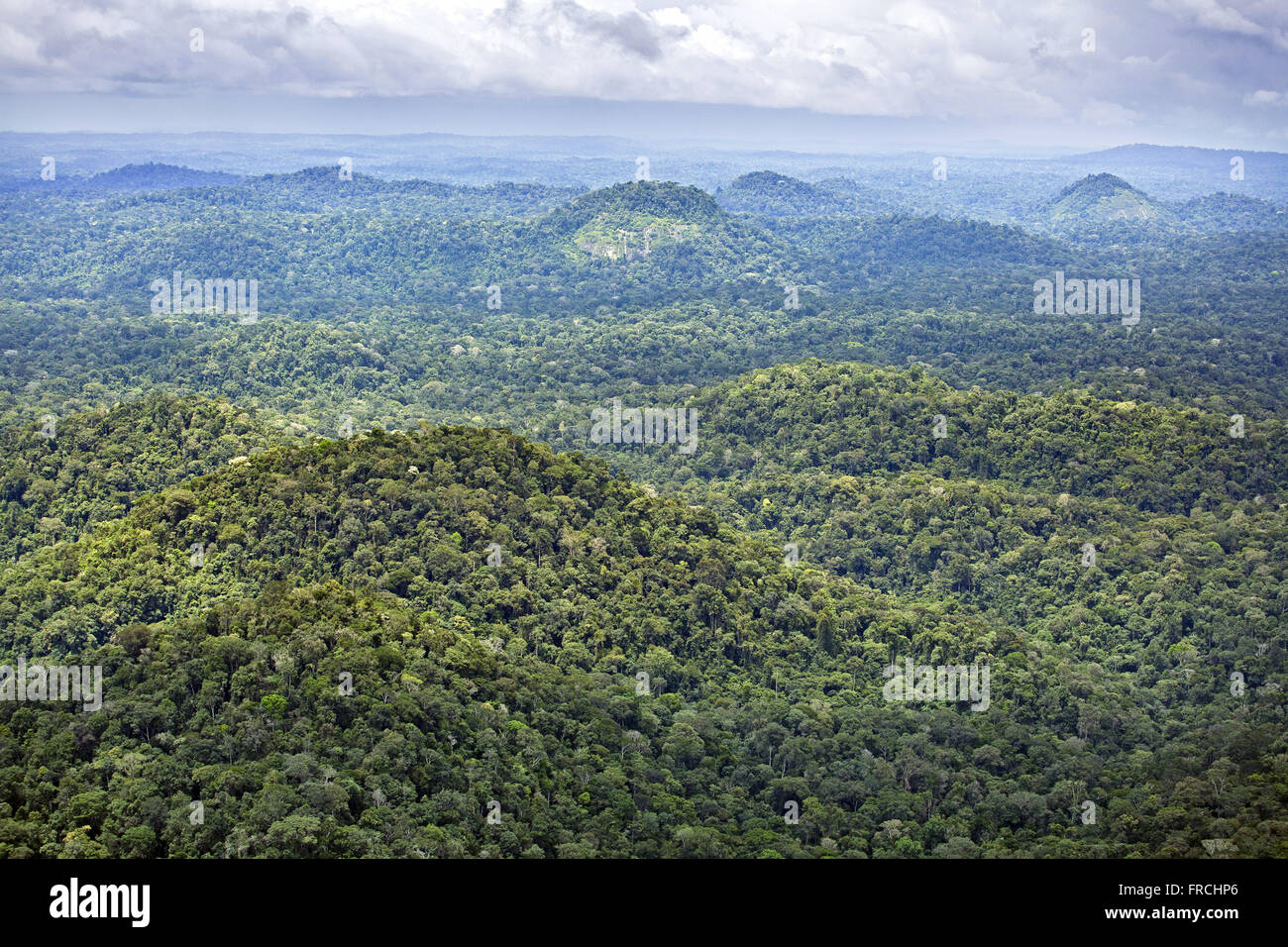 Aerial view of the Amazon forest in Tumucumaque Mountains National Park Stock Photo