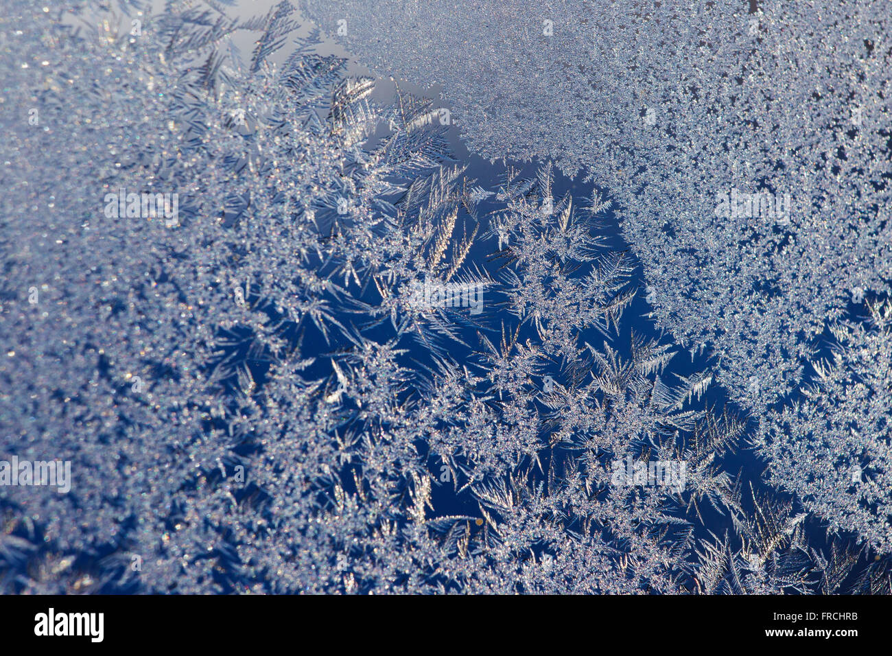 Detailed background with window ice flowers Stock Photo Alamy