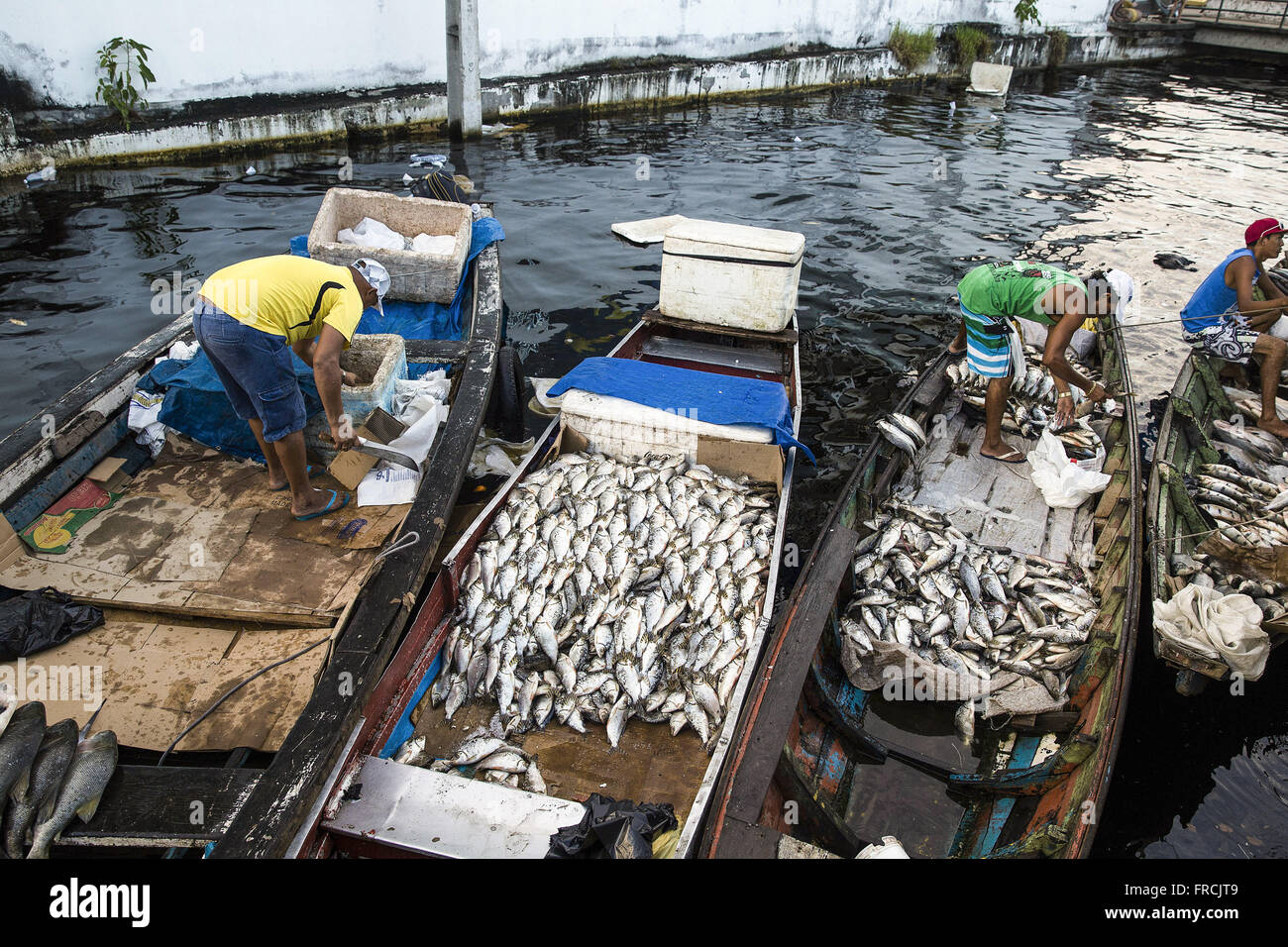 Mercado de peixes amazônicos ao ar livre - canal ao lado do Mercado Municipal Stock Photo