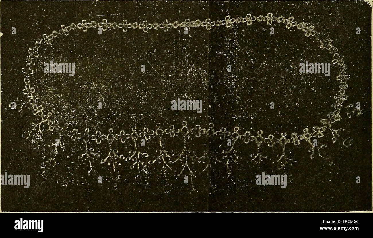 This manual, published in 1900, provides instructions on the use of X ...
