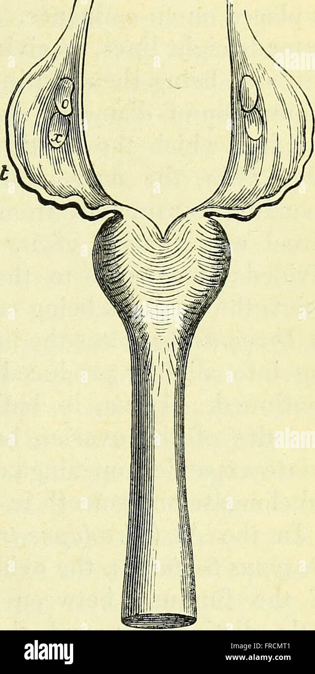 This 1866 text focuses on the anatomy of vertebrates, exploring the ...