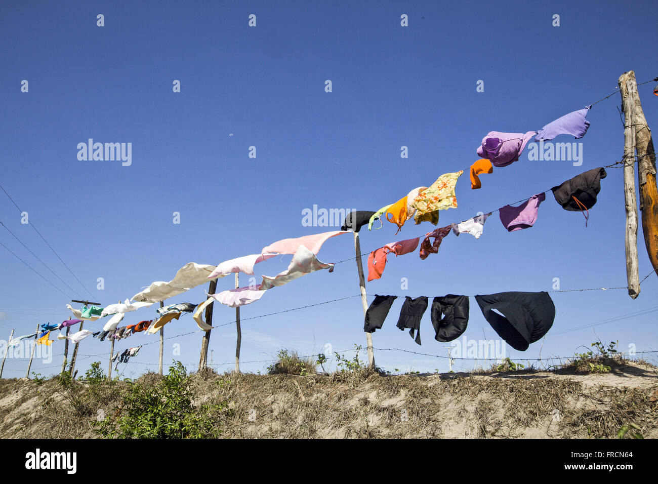 Clothes drying on clothesline Stock Photo Alamy