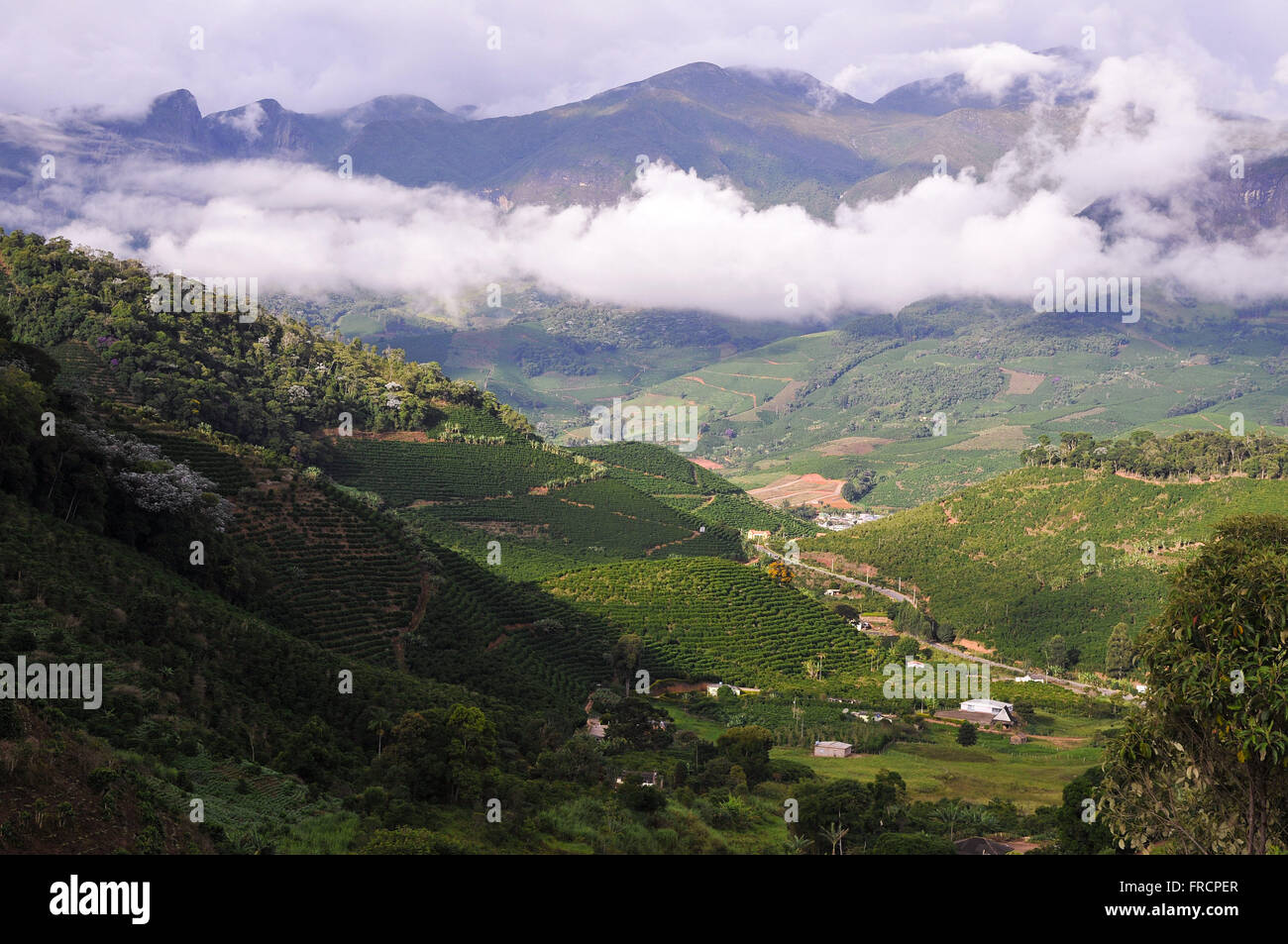 rural area with coffee plantations and AMG-2955 Highway Right Reverend Cicero Siqueira Stock Photo