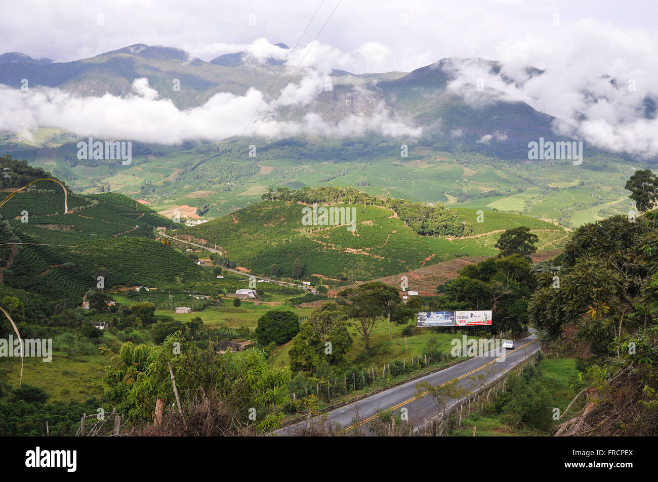 rural area with coffee plantations and AMG-2955 Highway Cicero Reverend Smith in Spotlight Stock Photo