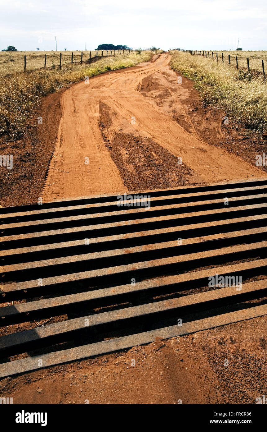 Dirt road with cattle guard - obstacle to prevent passage of animals especially cattle Stock Photo