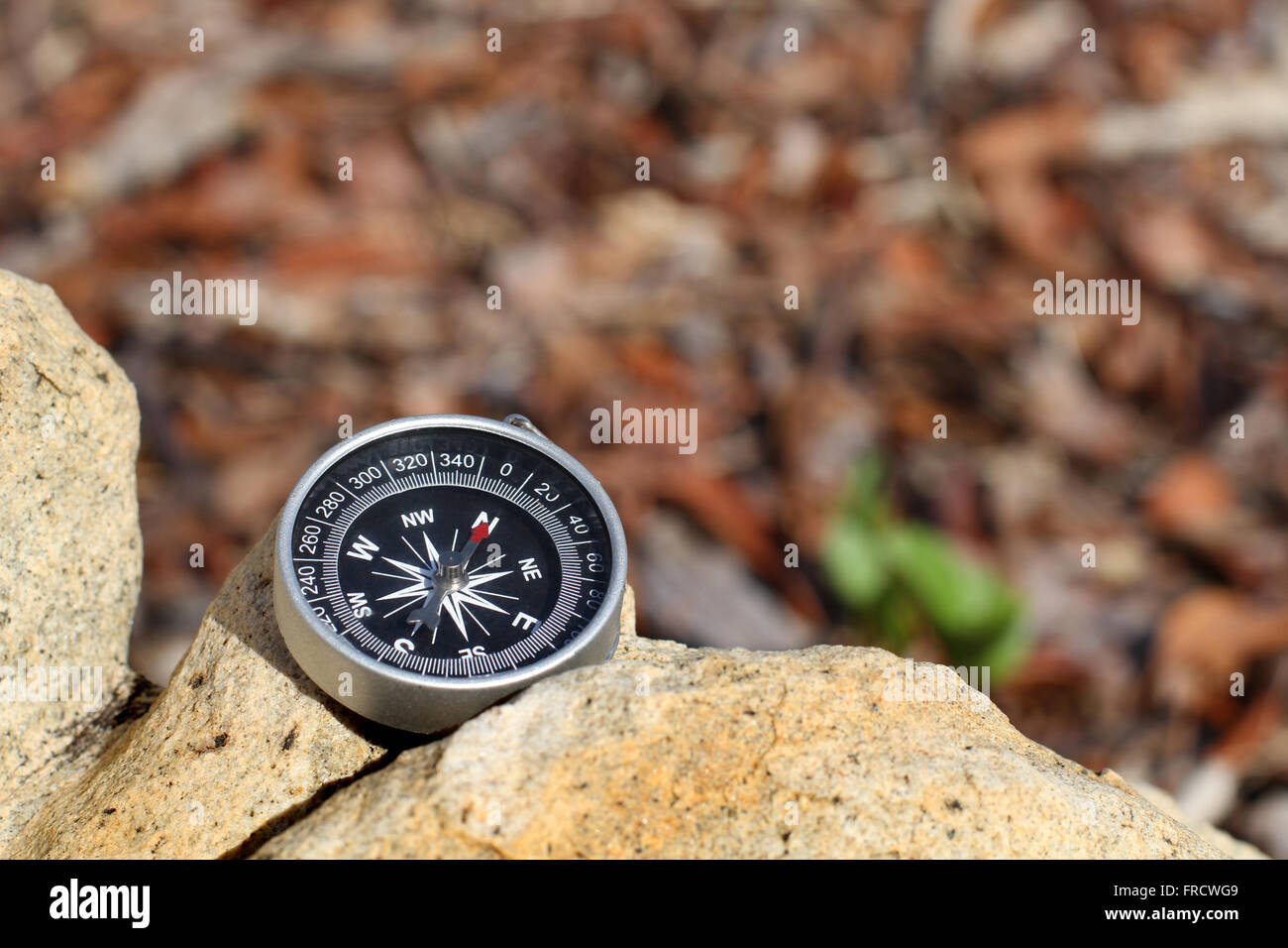 Compass needle pointing north hi-res stock photography and images - Alamy