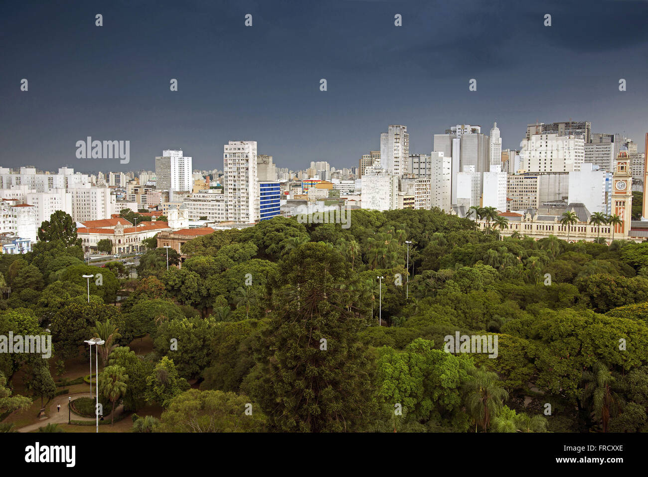 Jardim da Luz public park of the city of Sao Paulo located in the Bom