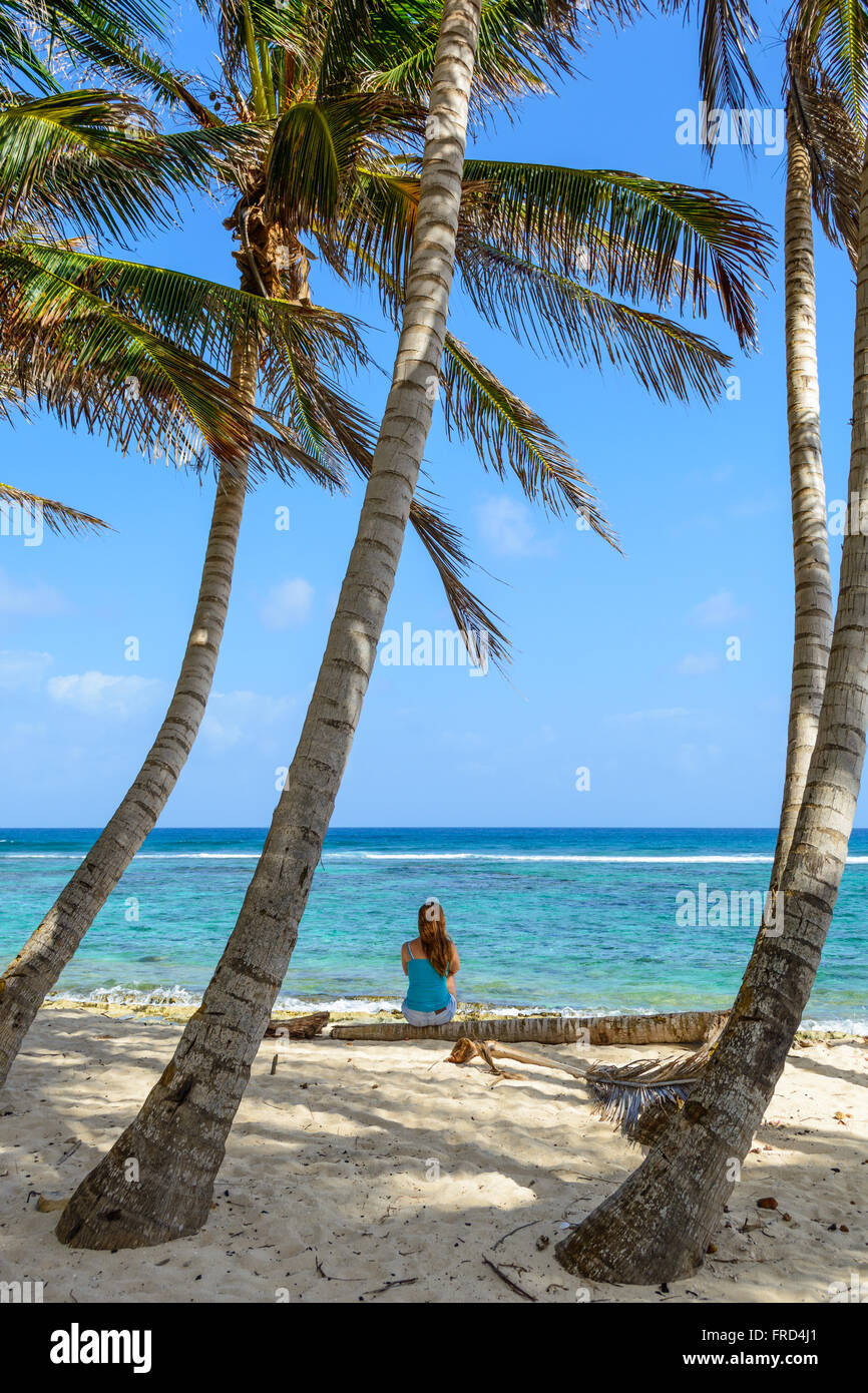 Girl sit in a tree looking at the sea between palm trees in San Andrés, Colombia. Stock Photo