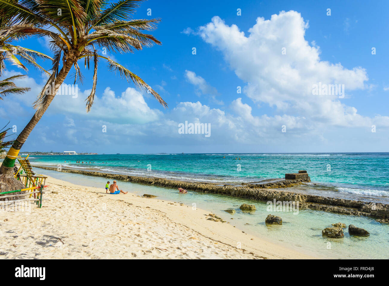 Palm tree in a sunny day at the beach in the island of San Andrés, Colombia, Stock Photo