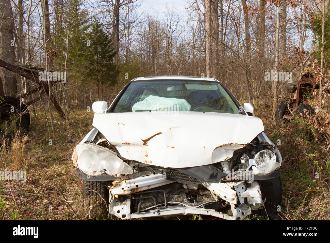 Remains of wrecked car with airbags deployed in field among trees. Stock Photo