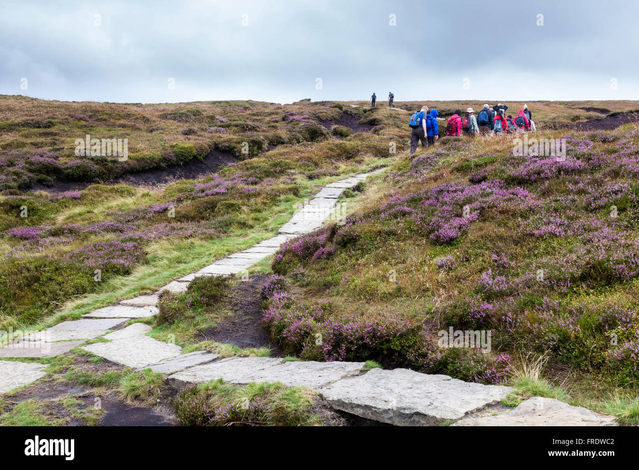 Stone flag footpath laid on moorland to help prevent erosion of the moor. Kinder Scout, Derbyshire, Peak District, England, UK Stock Photo