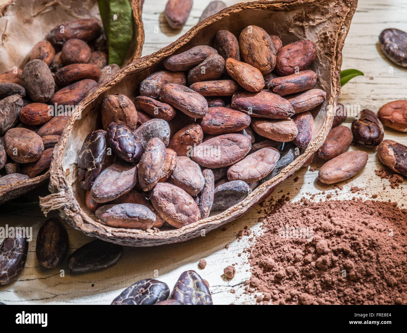 Cocoa powder and cocoa beans on the wooden table. Stock Photo