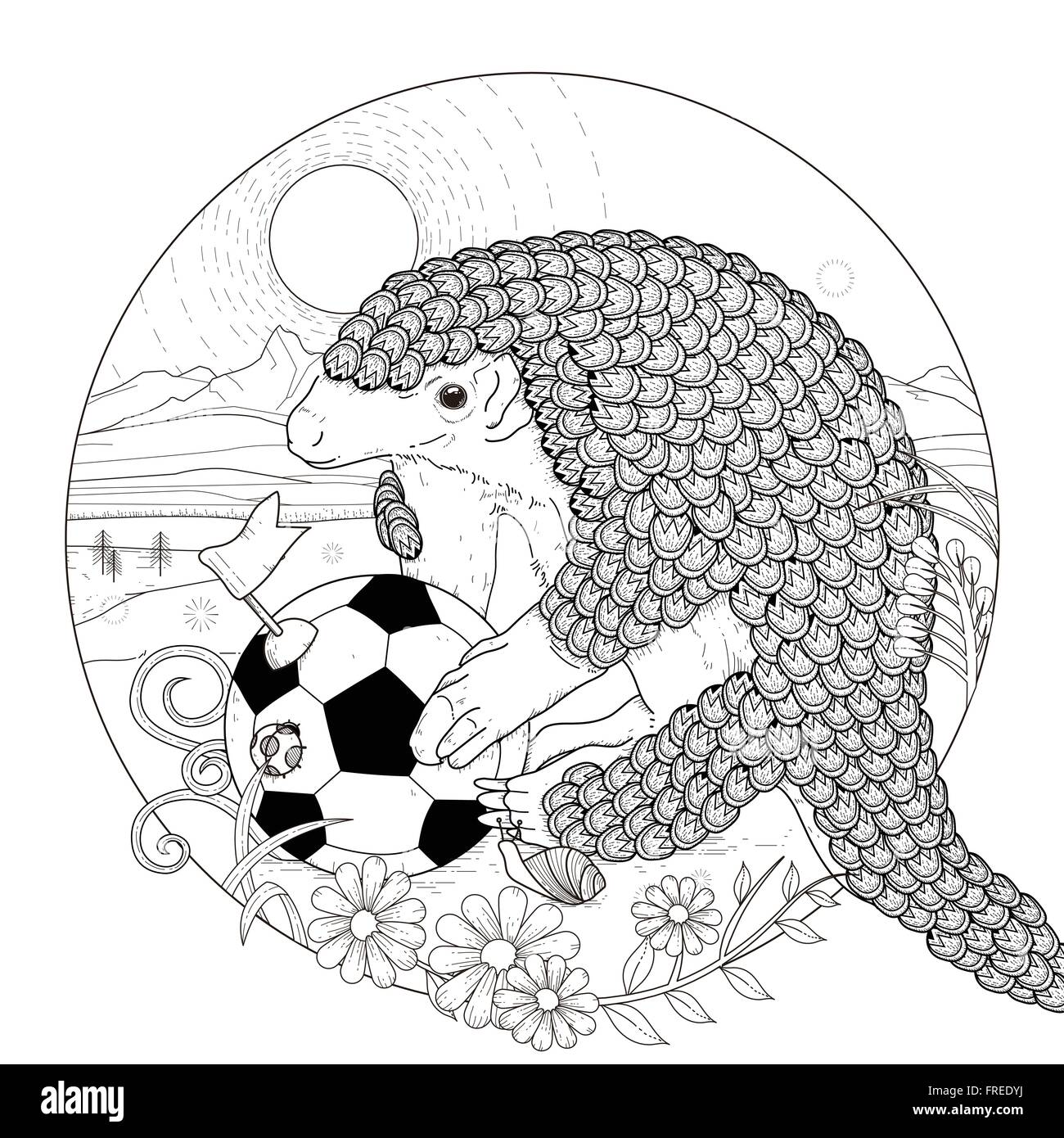 armadillo coloring page