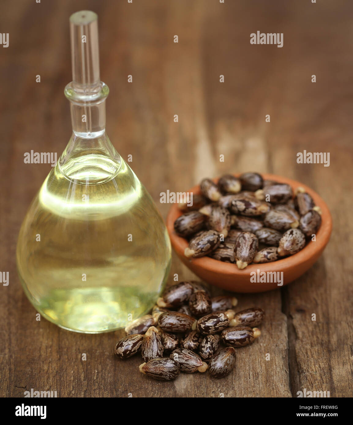 Castor oil beans hires stock photography and images Alamy
