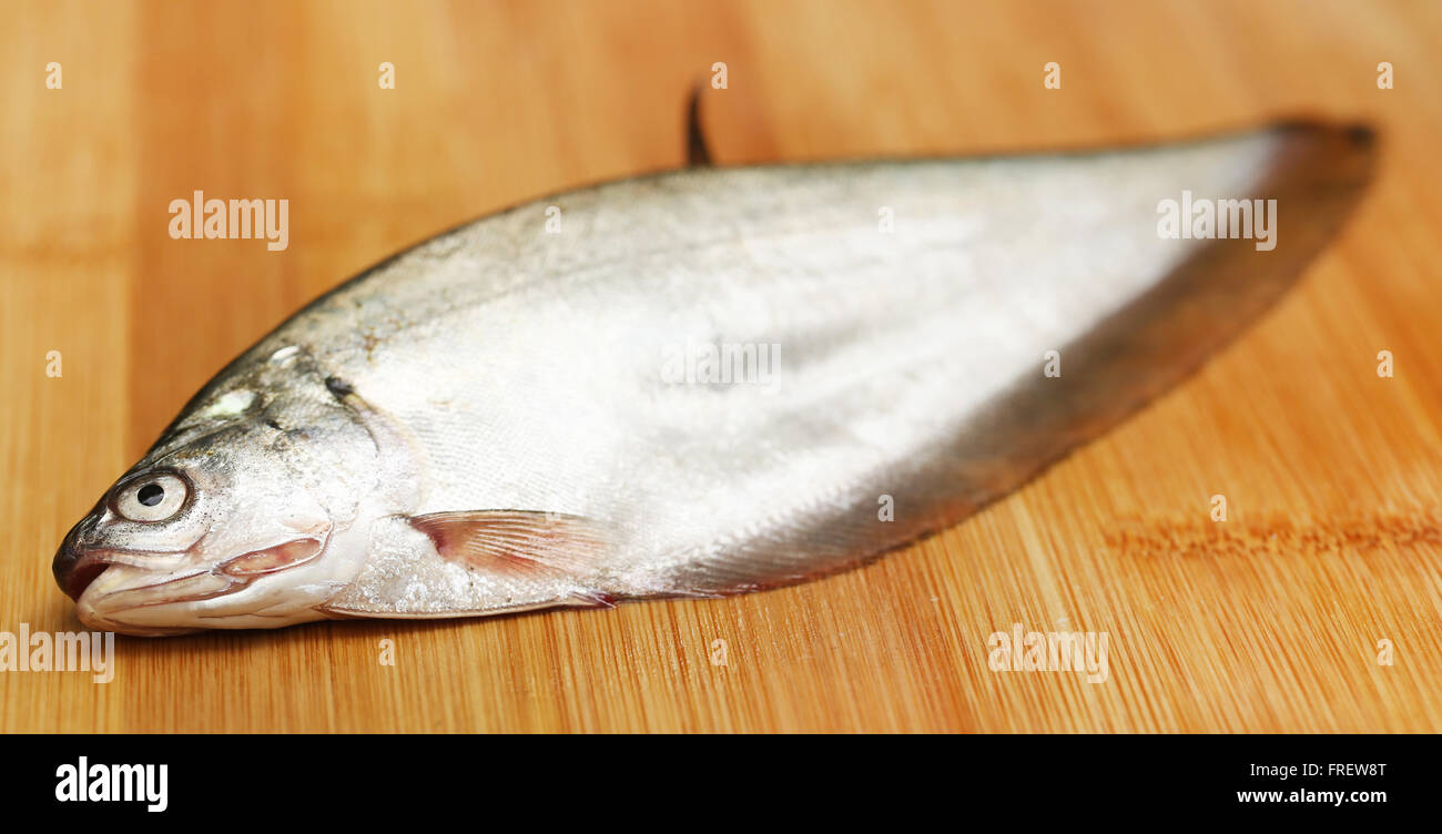 Bronze featherback on textured surface Stock Photo Alamy