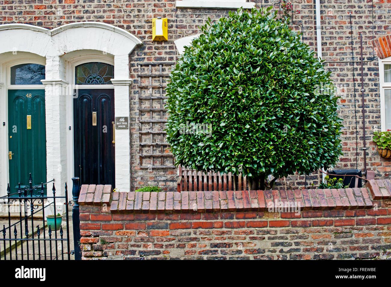 Bay Tree House near Victoria Bar, York Stock Photo Alamy