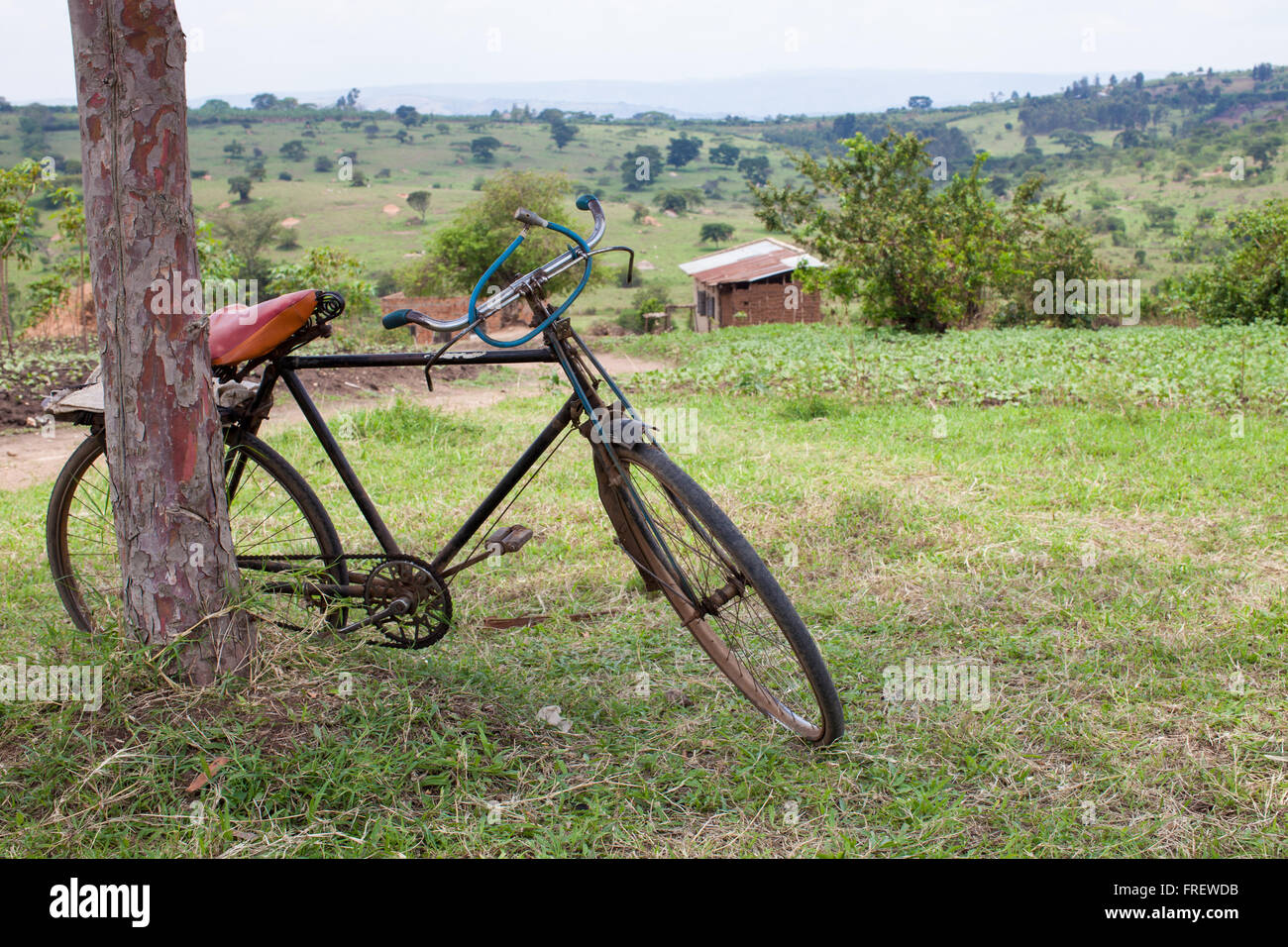 A bicycle parked up against a tree, Uganda Africa Stock Photo