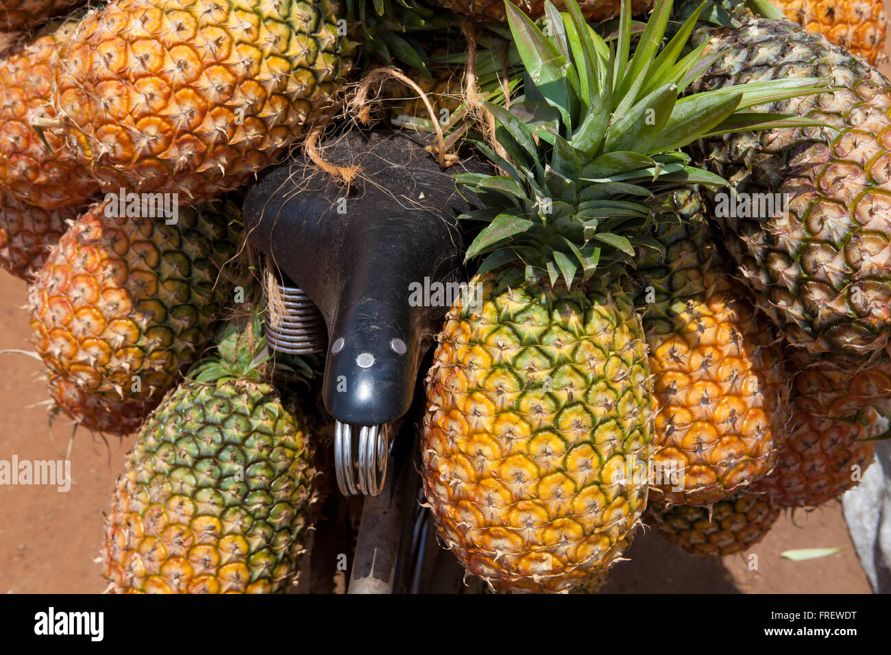 Pineapples africa hires stock photography and images Alamy