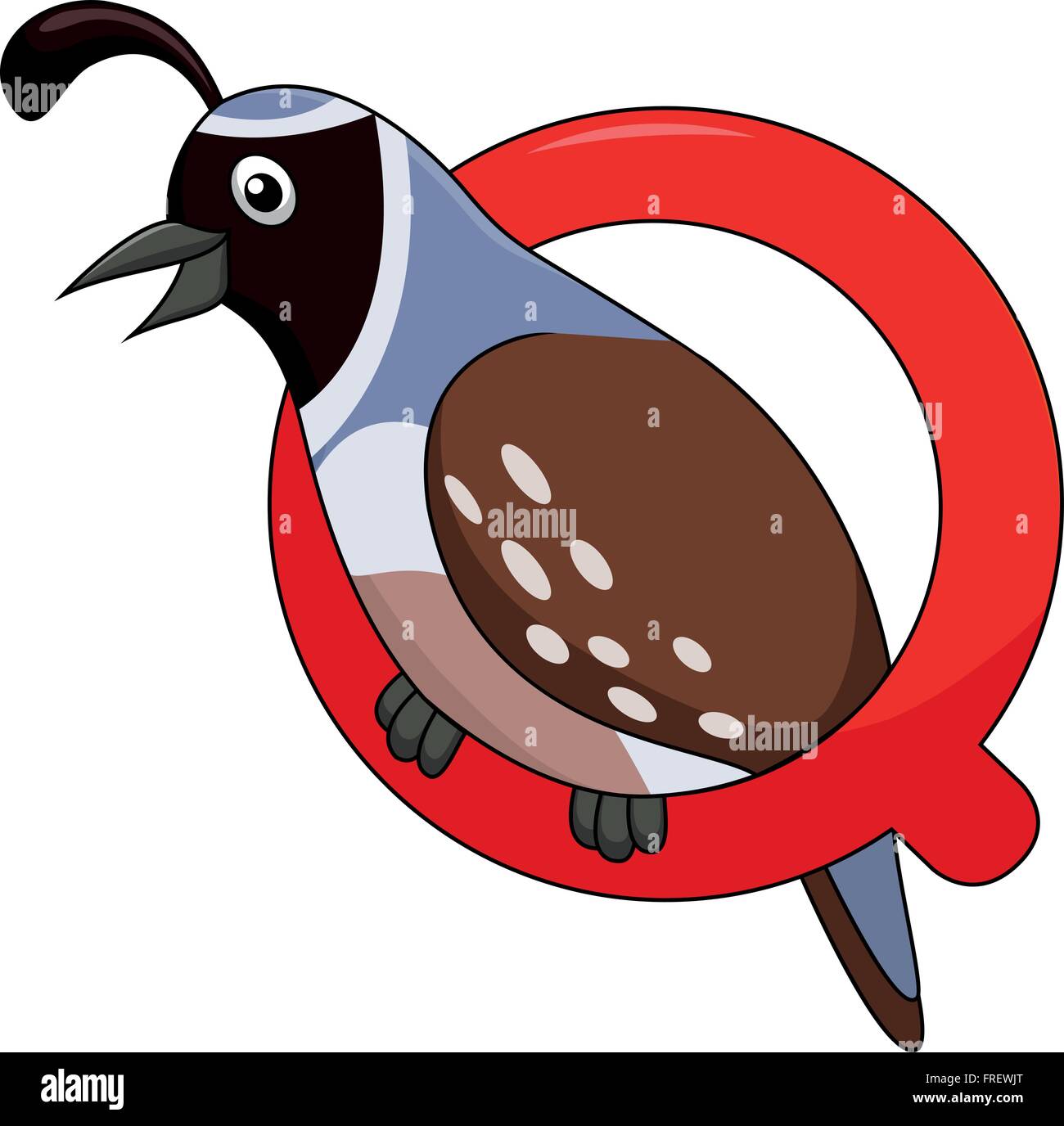 Alphabet Q with Quail bird cartoon Stock Vector Image & Art Alamy
