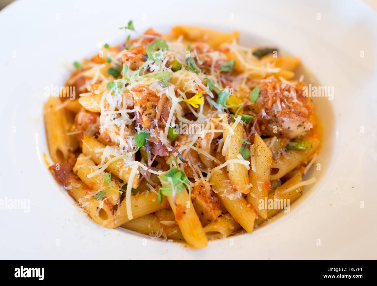 A plate of penne pollo (chicken) pasta in a tomato and red pepper sauce with Parmigiano Reggiano, boar bacon, and sprouts. Stock Photo