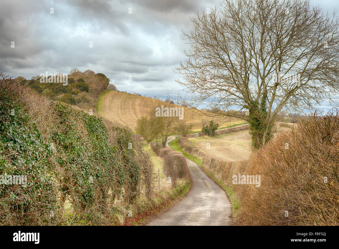 Lane near Saunderton. Saunderton is a village in the Chiltern Hills, Buckinghamshire, England. Stock Photo