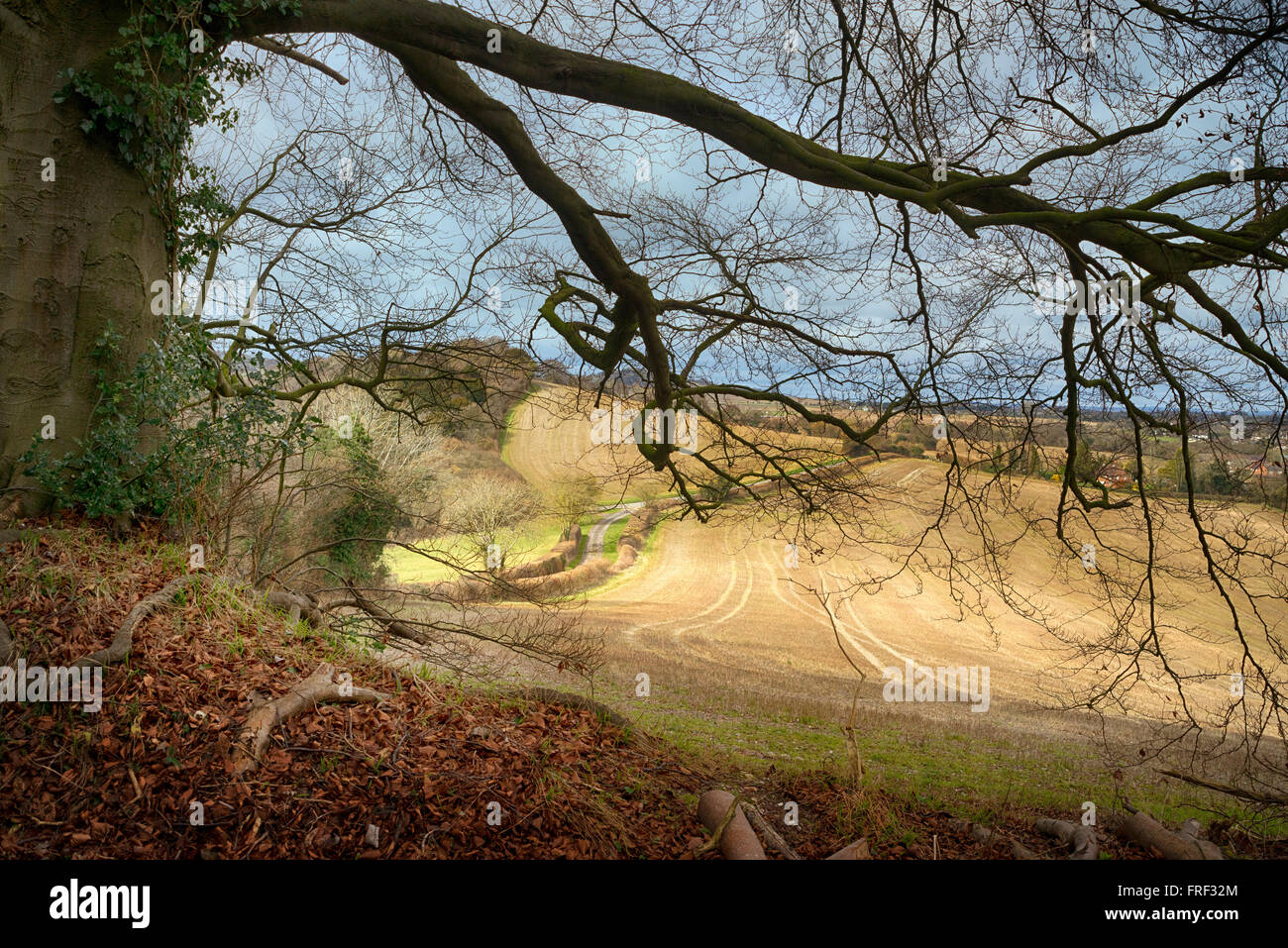 Chiltern landscape at Saunderton near West Wycombe, Buckinghamshire, England Stock Photo