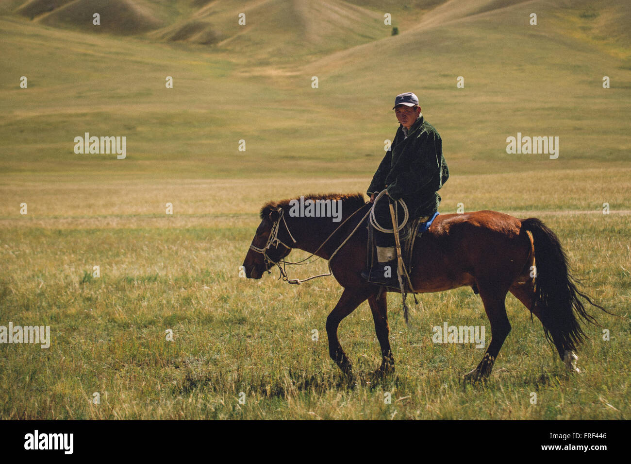 A horseman in Mongolia Stock Photo - Alamy